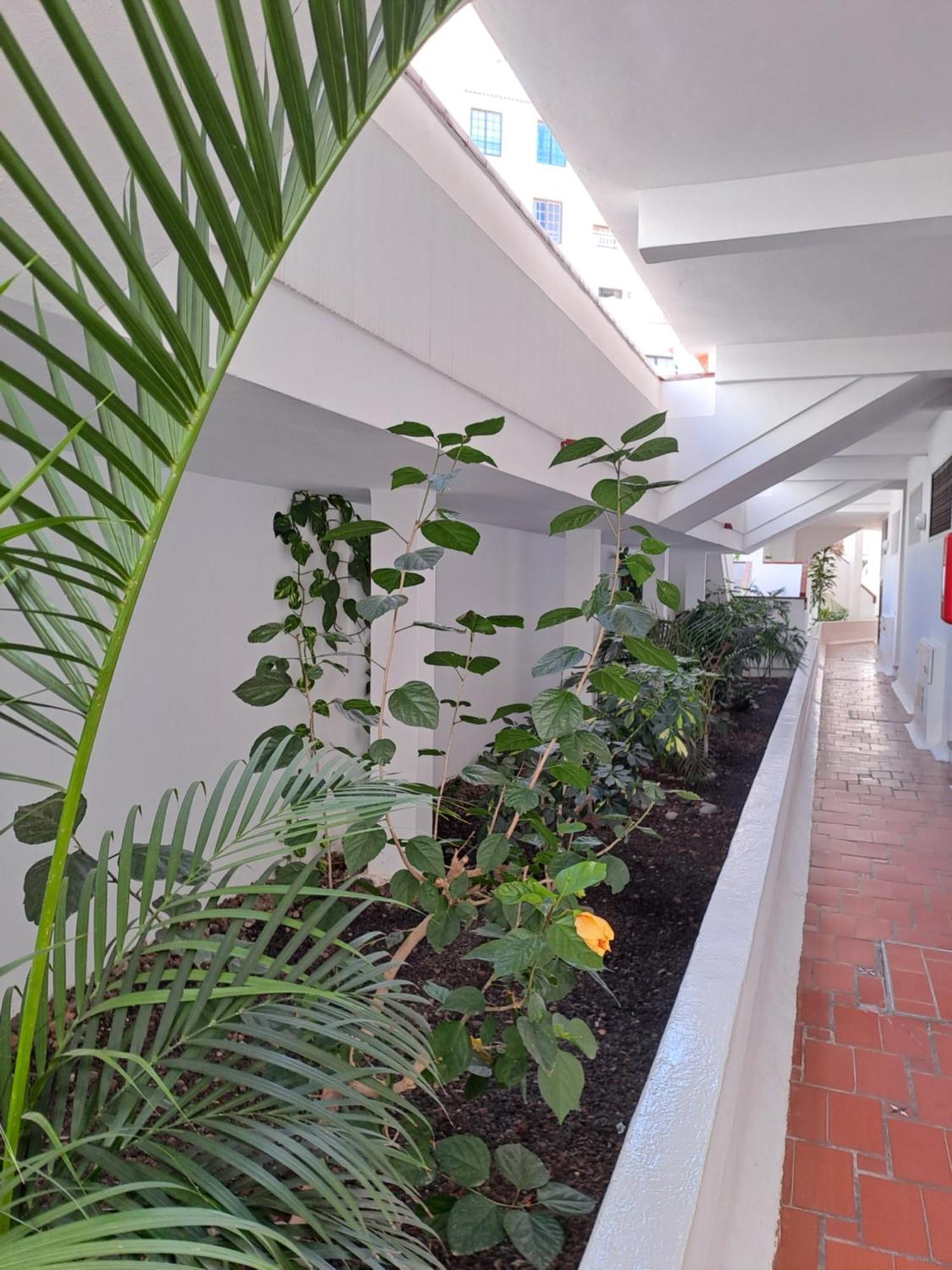 Ancora Home, Los Diamantes, Tenerife Los Cristianos  Exterior photo
